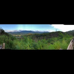 Meet your Posher, Jody